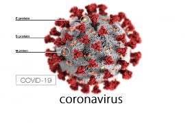 coronavirus-COVID-19